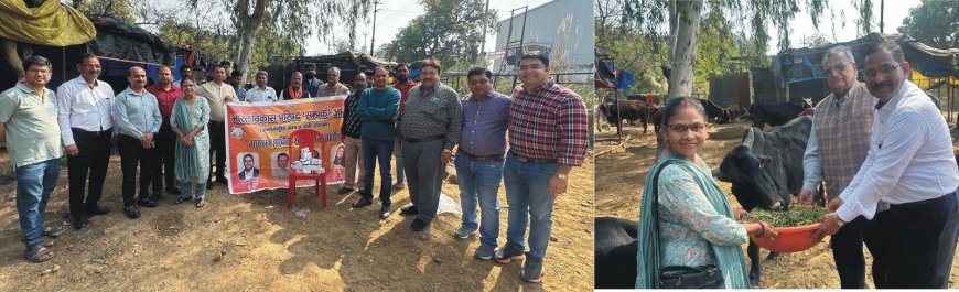 भारत विकास परिषद संपर्क के सदस्यों ने गौ सेवा कर कमाया पुण्य लाभ