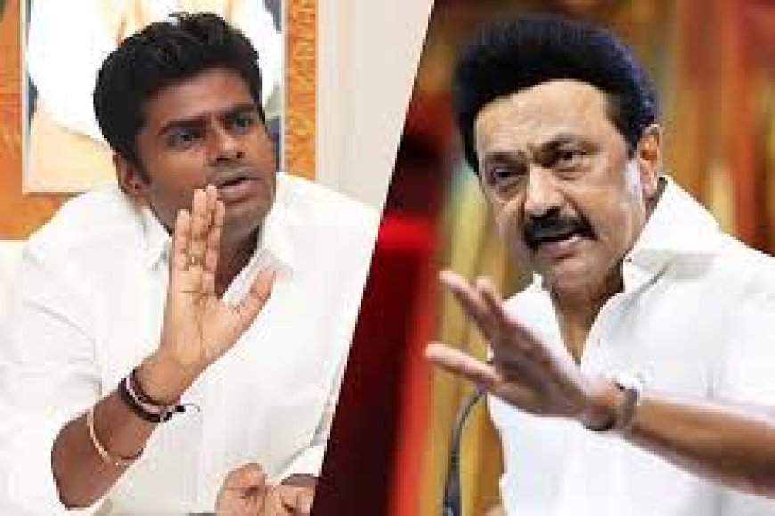 आप कितने मूर्ख हो सकते हैं स्टालिन- अन्नामलाई