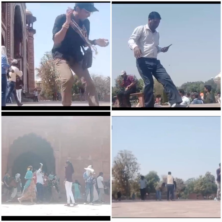 ताजमहल के रॉयल गेट पर मधुमक्खियों के हमले का कई पर्यटक बने शिकार