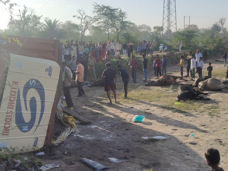 आगरा के सांथा में गौवंश से भरा कंटेनर पलटा, नौ गौवंश मृत मिले, तस्कर फरार