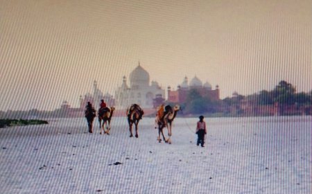 जितनी दवा की उतना मर्ज बढ़ाः प्रदूषण की खौलती कढ़ाई में ताज की खामोश चीख