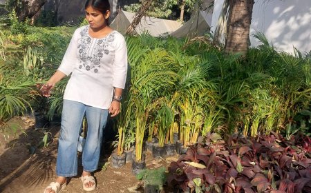 कोरोना काल के बाद सौ गुना तक बढ़ी है इंडोर प्लांट की लोकप्रियता