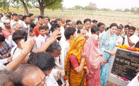 जिला पंचायत के करोड़ों रुपए के विकास कार्यों का हुआ शुभारंभ