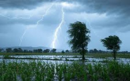 आंधी, तूफान और बिजली गिरने से फिरोजाबाद में दो लोगों समेत यूपी में 22 मरे