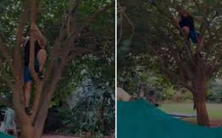 सलमान खान ने पेड़ पर चढ़कर तोड़े जामुन, लोग हक्के-बक्के