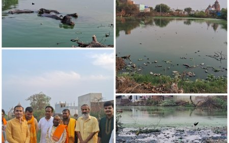 कान्हा की लीलाओं से जुड़े मल्हार और बलदेव कुण्ड की हालत देखी नहीं जाती