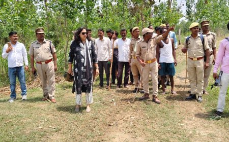 बरेली में किसान पर वन्य जंतु का हमला, चेहरा विकृत किया, तेंदुए की आशंका से दहशत