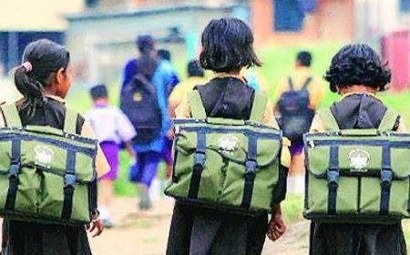 गर्मी का असर: कक्षा 8 तक के स्कूल अब दोपहर 12 बजे तक ही खुलेंगे, आदेश जारी