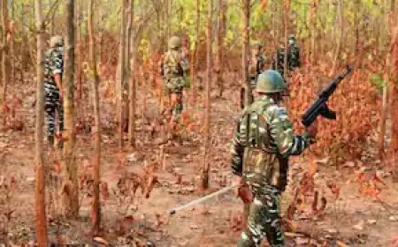 झारखंड: बोकारो में सुरक्षा बलों ने छह नक्सलियों को किया ढेर, भारी हथियार बरामद