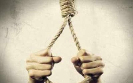 किट्टू की मां अब कभी नहीं लौटेगी: किरण ने छोड़ा मार्मिक सुसाइड नोट