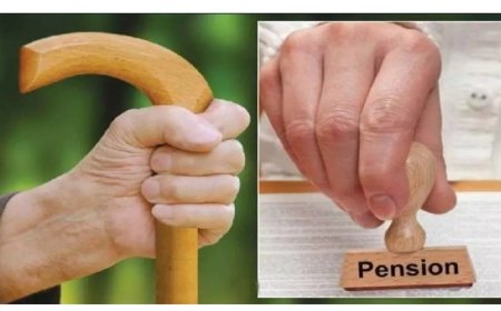 डीएम ने दिए वृद्धावस्था पेंशन का सत्यापन करने के निर्देश, अपात्रों को नहीं मिलेगा लाभ