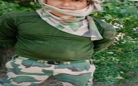 फिरोजपुर सीमा पर बीएसएफ जवान की पाकिस्तानी हिरासत: रिहाई के लिए बातचीत