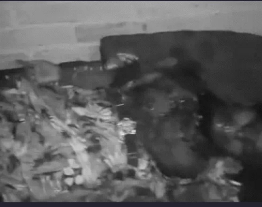 पत्नी की हत्या कर पति शव को तीन दिन तक घर के अंदर रखे रखा