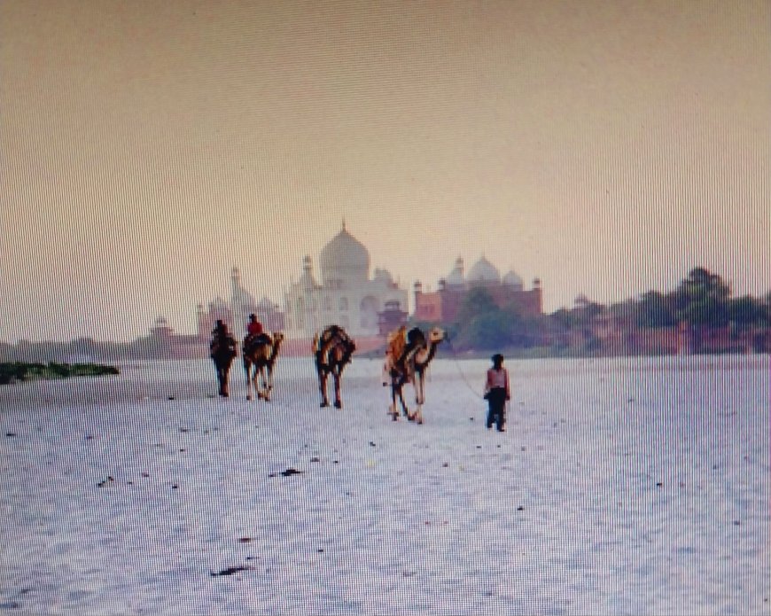 जितनी दवा की उतना मर्ज बढ़ाः प्रदूषण की खौलती कढ़ाई में ताज की खामोश चीख