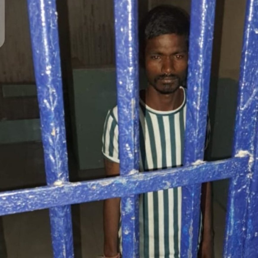 विदेशी महिला से छेड़छाड़ का आरोपी ताजगंज का करन गिरफ्तार