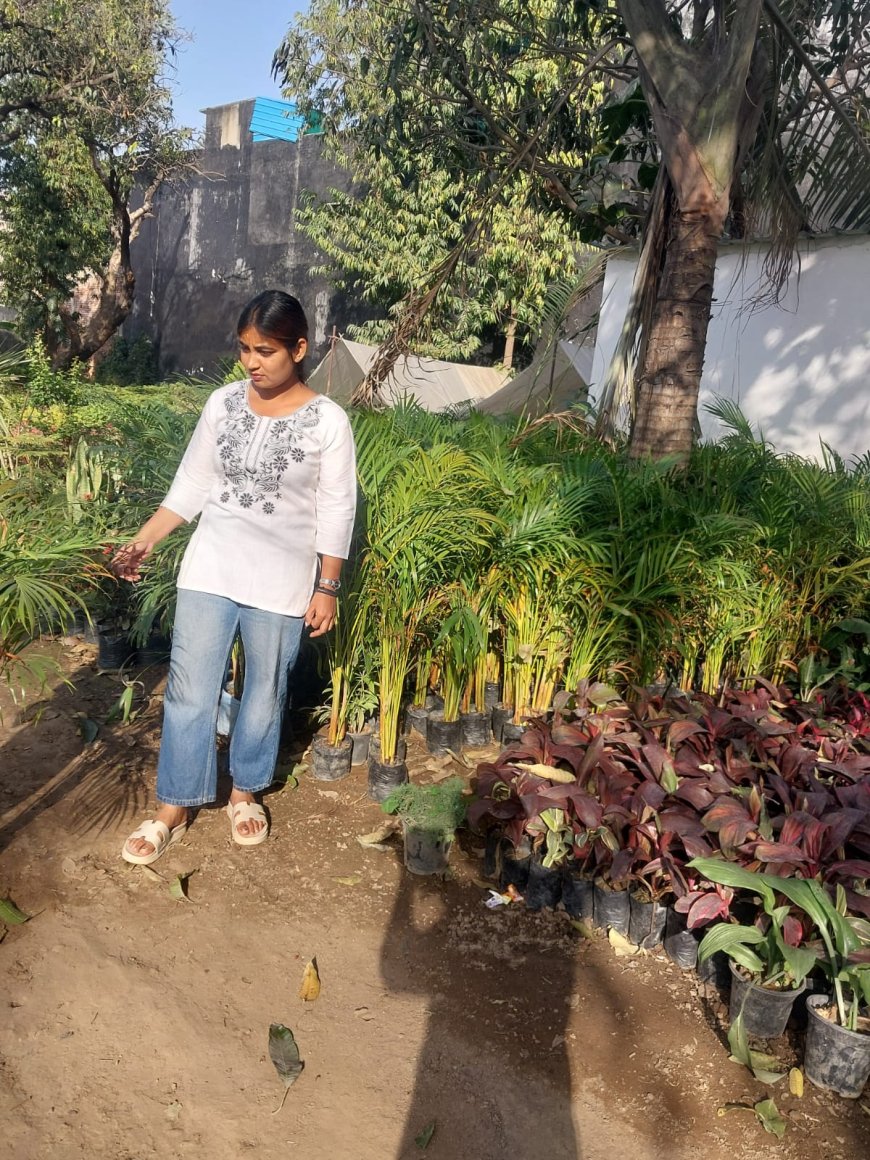 कोरोना काल के बाद सौ गुना तक बढ़ी है इंडोर प्लांट की लोकप्रियता