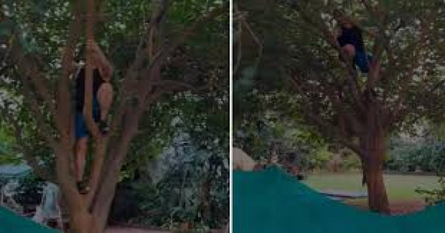 सलमान खान ने पेड़ पर चढ़कर तोड़े जामुन, लोग हक्के-बक्के