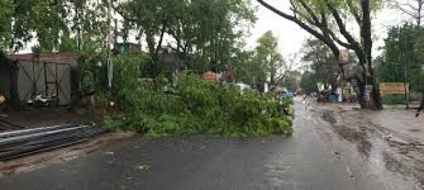 आगरा-फिरोजाबाद में तेज आंधी तूफान से जनजीवन अस्त-व्यस्त