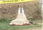 धौलपुर की लड़की का शव आगरा के खेरागढ़ में सड़क किनारे मिला, नाक से खून और शरीर पर चोट के निशान