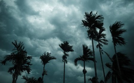 क्या आगरा मानसून के लिए तैयार है?  संकट से बचने के लिए सरकारी एजेंसियों को मुस्तैदी से ये कार्य करने चाहिए