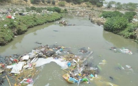 सुप्रीम कोर्ट के चार माह में यमुना में गिरने वाले नालों की टैपिंग करने के निर्देश