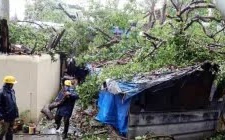 दिल्ली में आंधी-बारिश से मां और तीन बच्चों की मौत, बिजली गिरने से कुल 12 की गई जान