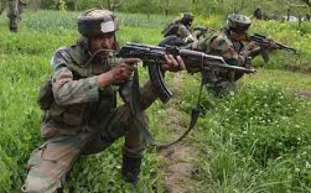 बीएसएफ ने सांबा में सात घुसपैठिए मार गिराए