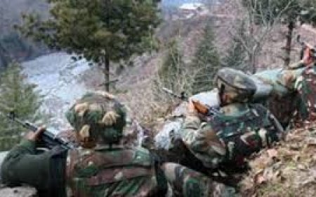 पाक ने चार घंटे के अंदर ही किया सीजफायर का उल्लंघन, दागे गोले, भारत दे रहा मुंहतोड़ जवाब