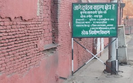 बेलनगंज के जर्जर मकान बंदरों के स्थायी ठिकाने, हर वक्त मंडराता रहता है खतरा