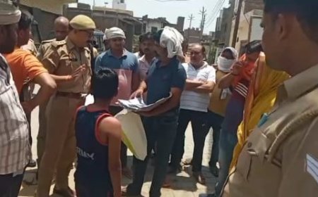 पिनाहट में नगर पंचायत की जमीन पर कब्जे और गौशाला में ताला डालने की कोशिश