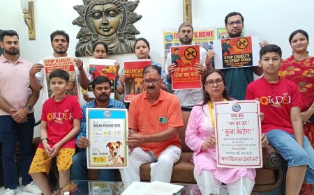 देसी श्वानों से क्रूरता नहीं, करुणा चाहिए: रीलोकेशन और नसबंदी विफलता से बढ़ रहे हैं रेबीज के मामले