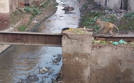 भैरों नाले का सौंदर्यीकरण कर वैकल्पिक मार्ग विकसित करें, नगरायुक्त को सुझाव