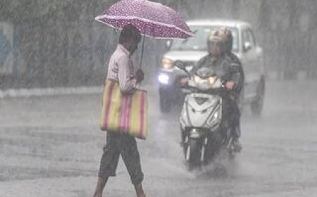 आगरा में दोपहर बाद की बारिश ने गर्मी को किया ठंडा, सुहाना हो गया मौसम   