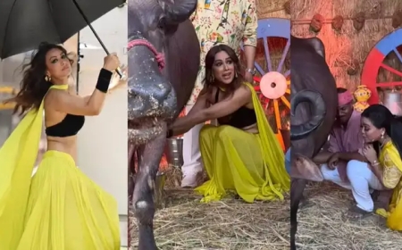 निया शर्मा ने शो के दौरान निकाला भैंस का दूध