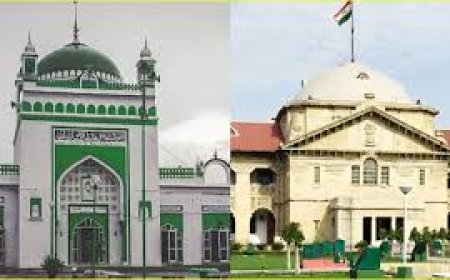 संभल जामा मस्जिद सर्वे मामले में मुस्लिम पक्ष को हाई कोर्ट का झटका, याचिका खारिज