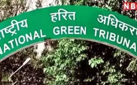 आगरा में चार जगह हरियाली का कत्ल! एनजीटी ने नौ विभागों के अफसरों को नोटिस जारी कर मांगा जवाब