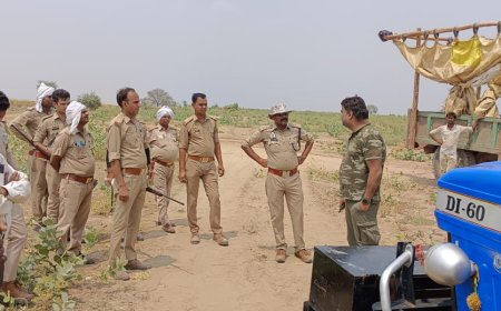 चंबल की छाती को रौंद रहे ट्रैक्टरों पर गिरी गाज, वन विभाग की ताबड़तोड़ कार्रवाई कर चार सीज किए