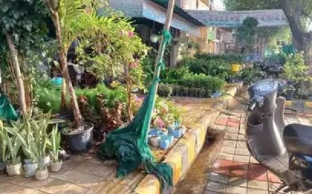 फुटपाथ हमारा हक़ है: आगरा में सुप्रीम कोर्ट के आदेश के बाद अतिक्रमण हटाने की उठी मांग