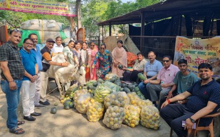 गौ सेवा और प्याऊ सेवा: आगरा में दो संस्थाओं ने किया पुण्य कार्यों का आयोजन