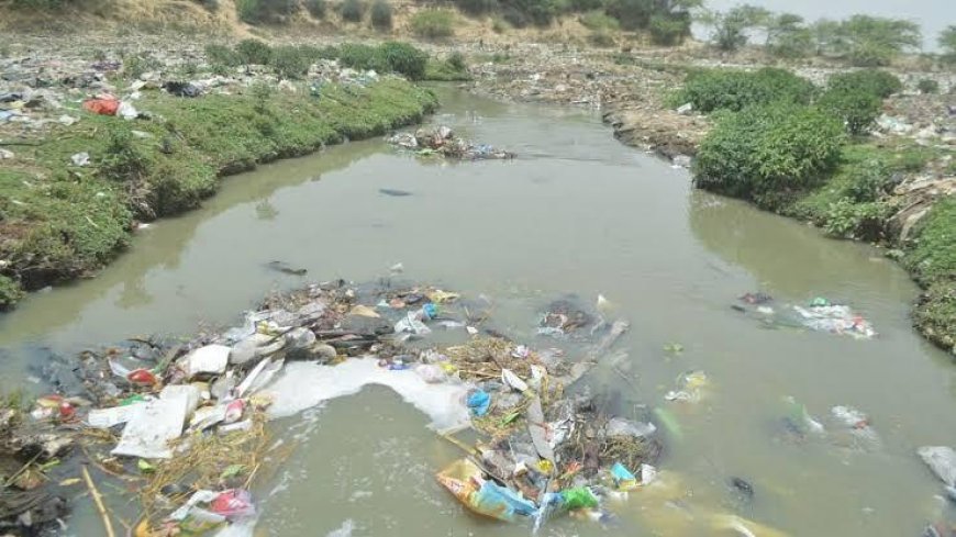 सुप्रीम कोर्ट के चार माह में यमुना में गिरने वाले नालों की टैपिंग करने के निर्देश