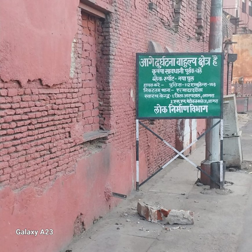 बेलनगंज के जर्जर मकान बंदरों के स्थायी ठिकाने, हर वक्त मंडराता रहता है खतरा