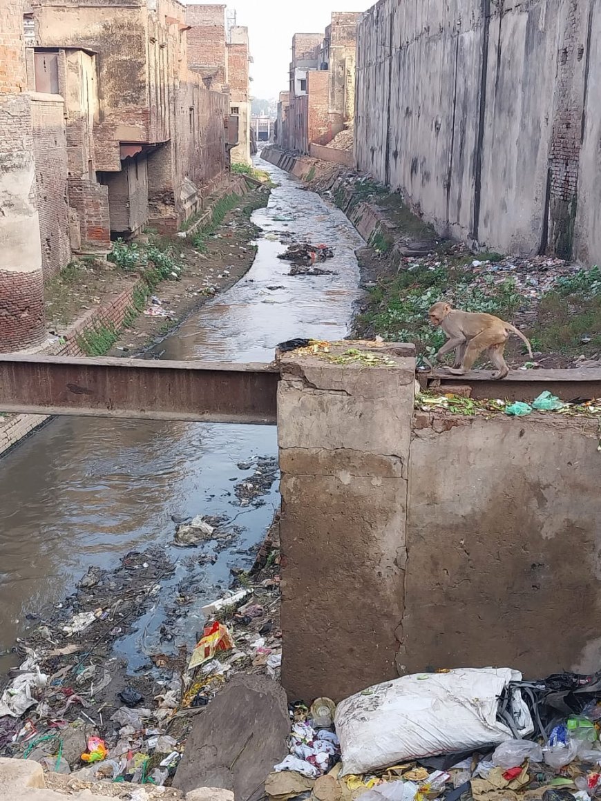 भैरों नाले का सौंदर्यीकरण कर वैकल्पिक मार्ग विकसित करें, नगरायुक्त को सुझाव