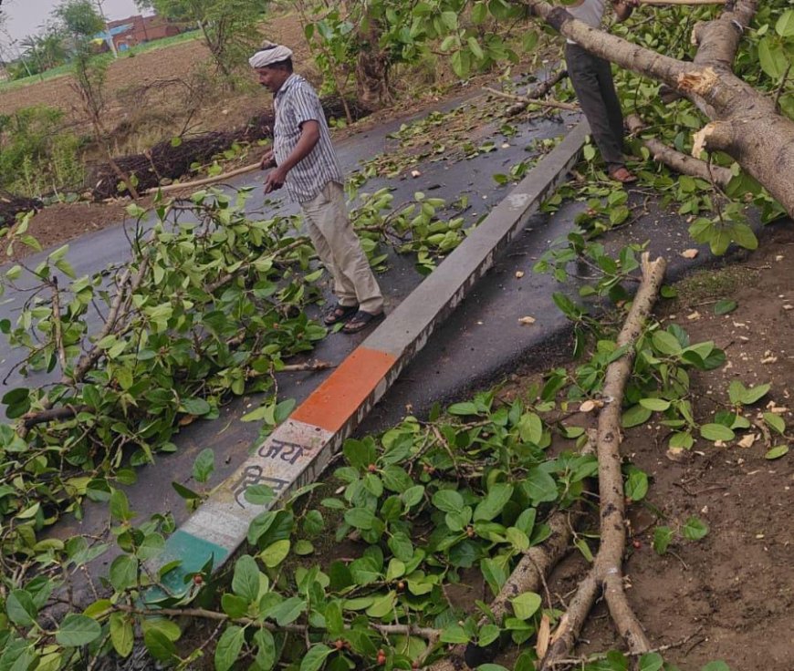 पिनाहट में आंधी ने मचाई तबाही: दर्जनों गांवों में बिजली गुल, लोग पानी को तरसे