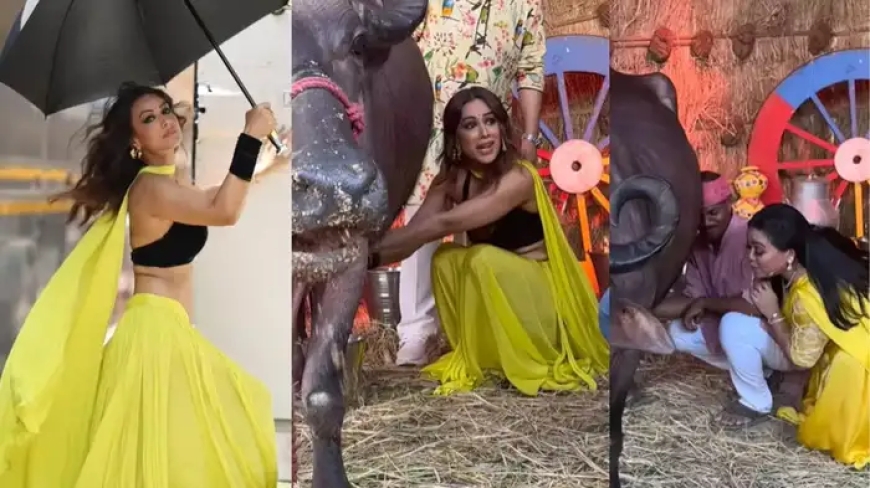 निया शर्मा ने शो के दौरान निकाला भैंस का दूध