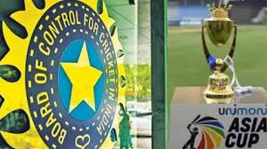 बीसीसीआई ने किया एशिया कप से भारत के हटने का फैसला