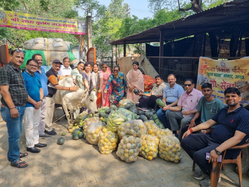 गौ सेवा और प्याऊ सेवा: आगरा में दो संस्थाओं ने किया पुण्य कार्यों का आयोजन