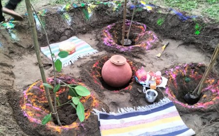 हरियाली माहः गुरु पूर्णिमा से रक्षा बंधन तक चलेगा ईको क्लब का पौधारोपण उत्सव