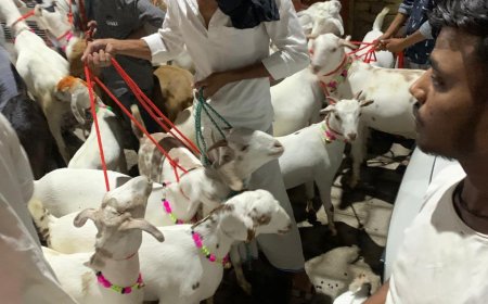 तीन दिन चलेंगी बकरीद की कुर्बानियां, हिंदुस्तानी बिरादरी ने लिया एकजुटता का संकल्प