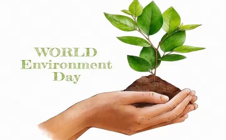 पर्यावरण दिवस पर एक सवाल: उद्योग आखिर कब होंगे ज़िम्मेदार?   