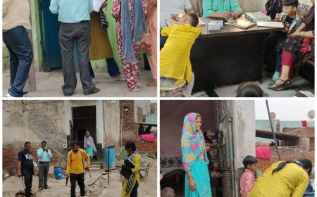 मलेरिया मुक्त आगरा की ओर बढ़ा कदमः पूरे जून चलेगा एंटी मलेरिया विशेष अभियान